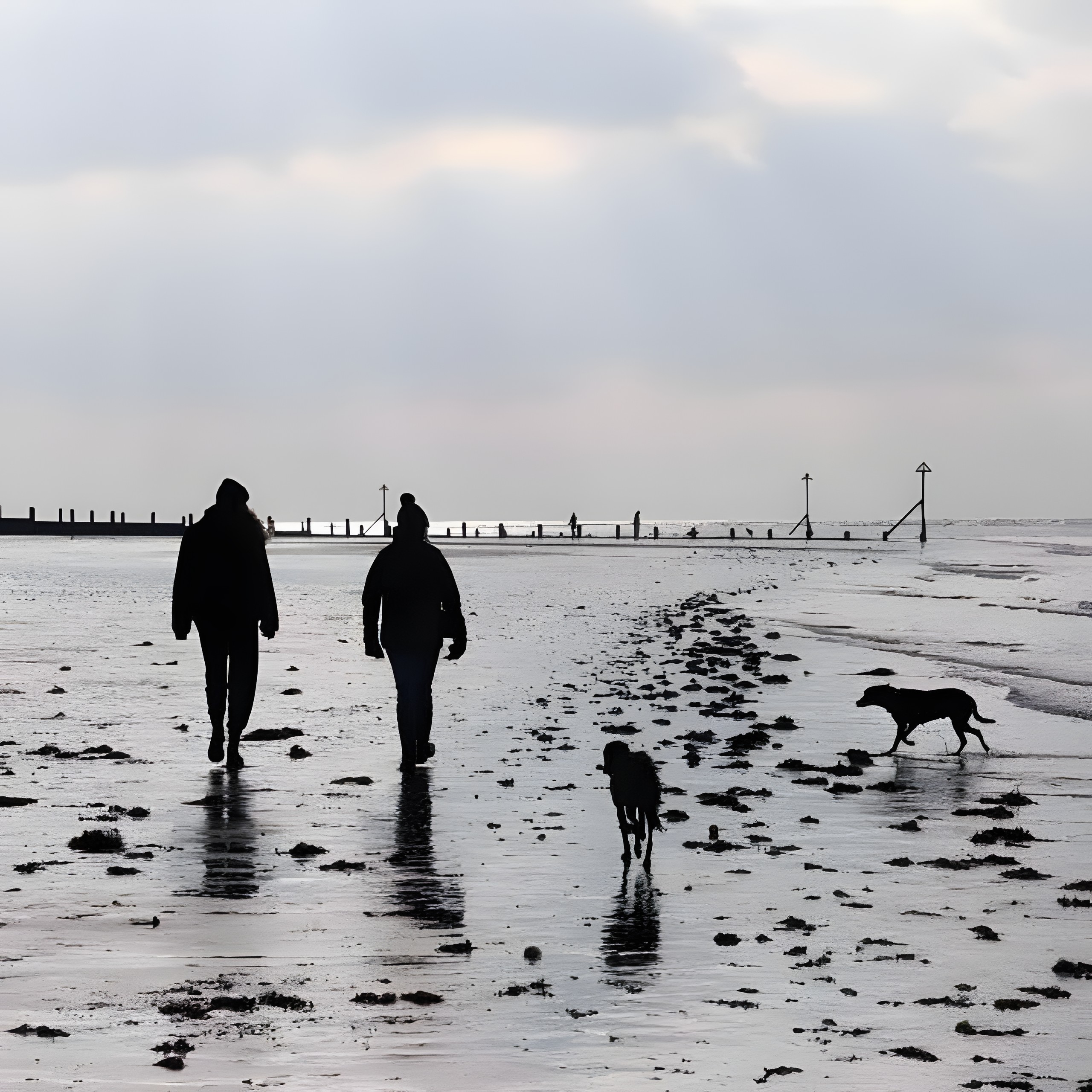 A walk along the beach with two dogs